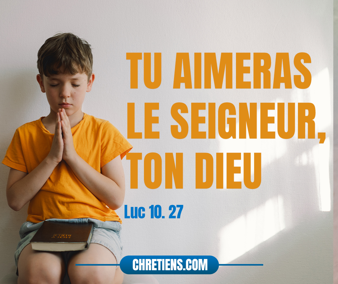 Il répondit : Tu aimeras le Seigneur, ton Dieu, de tout ton cœur, de toute ton âme, de toute ta force, et de toute ta pensée ; et ton prochain comme toi-même. Luc 10:27