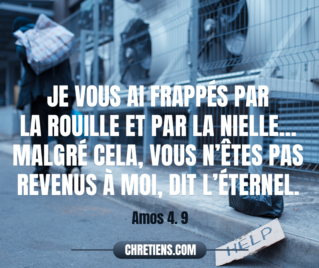 Je vous ai frappés par la rouille et par la nielle ; Vos nombreux jardins, vos vignes, vos figuiers et vos oliviers Ont été dévorés par les sauterelles. Malgré cela, vous n’êtes pas revenus à moi, dit l’Éternel. Amos 4:9 