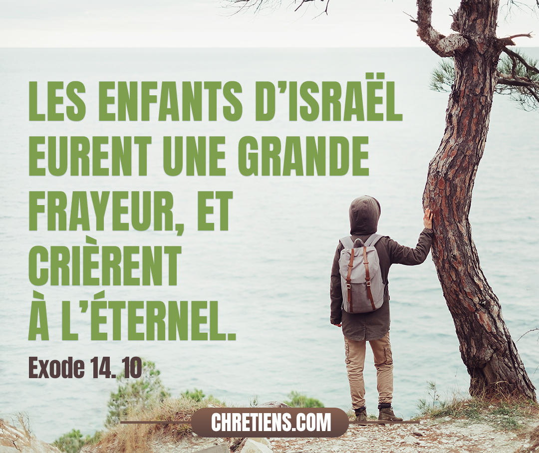 Pharaon approchait. Les enfants d’Israël levèrent les yeux, et voici, les Égyptiens étaient en marche derrière eux. Et les enfants d’Israël eurent une grande frayeur, et crièrent à l’Éternel. Exode 14:10 