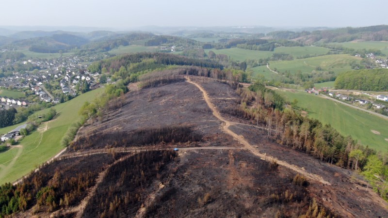 BRUXELLES REDOUTE UNE MULTIPLICATION DES FEUX DE FORÊTS CET ÉTÉ