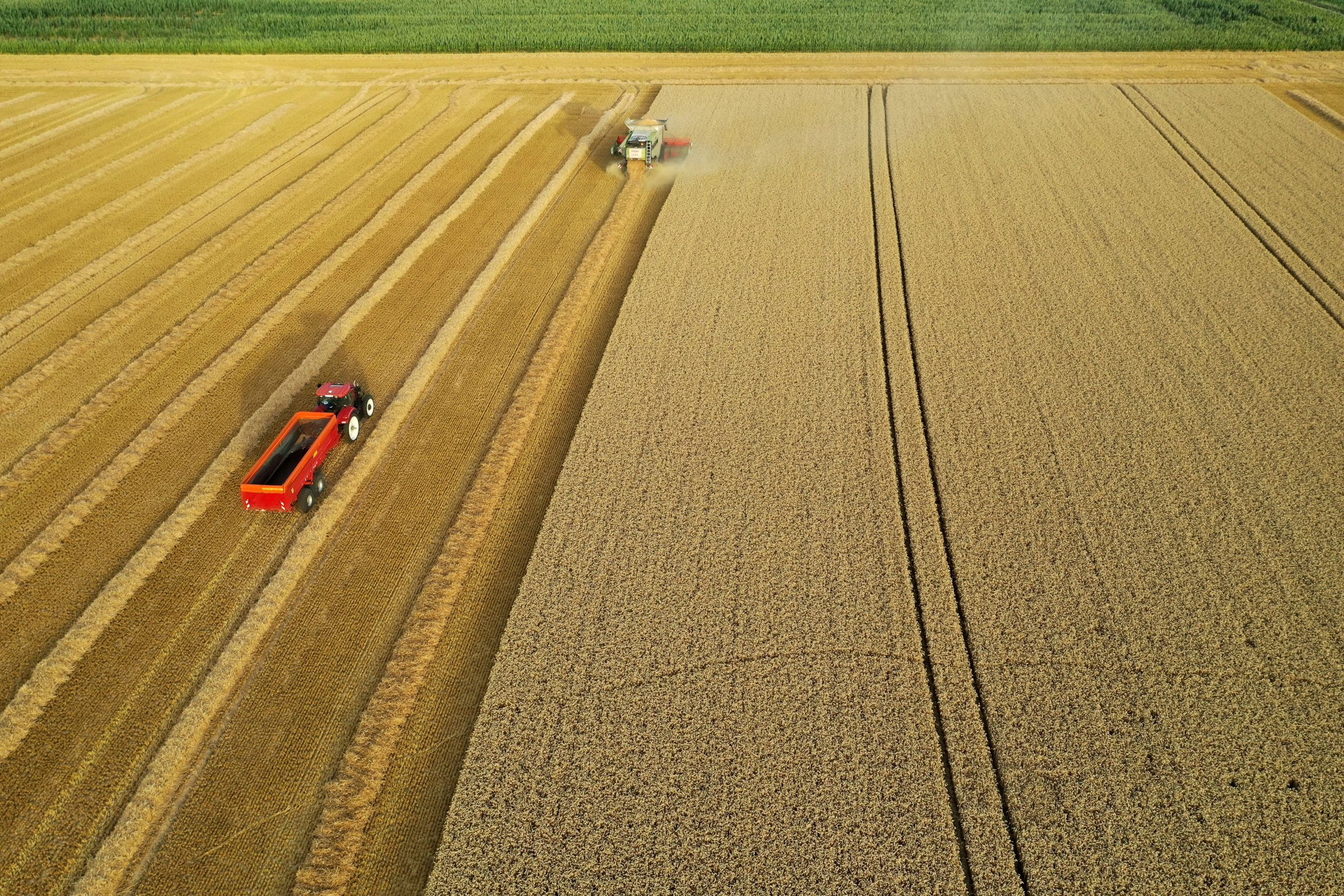 Des milliers d'agriculteurs français gravement menacés par la chute des rendements