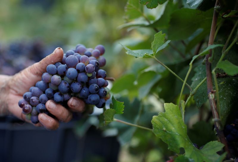 Droits de douanes: Paris fait pression sur Bruxelles pour un fonds de soutien aux viticulteurs