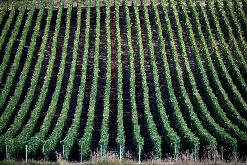 Les expéditions de champagne ont chuté de 18% en 2020 avec la pandémie