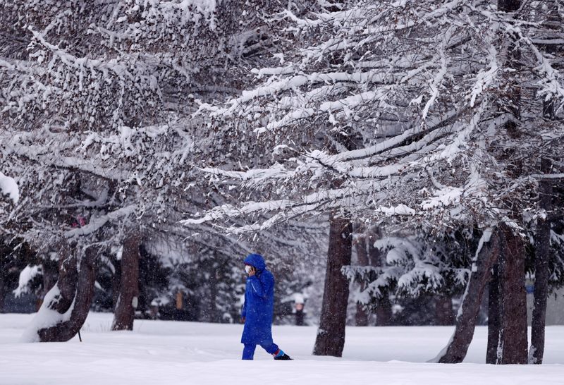 Tempête Bella: Chutes de neige et coupures de courant dans le centre de la France