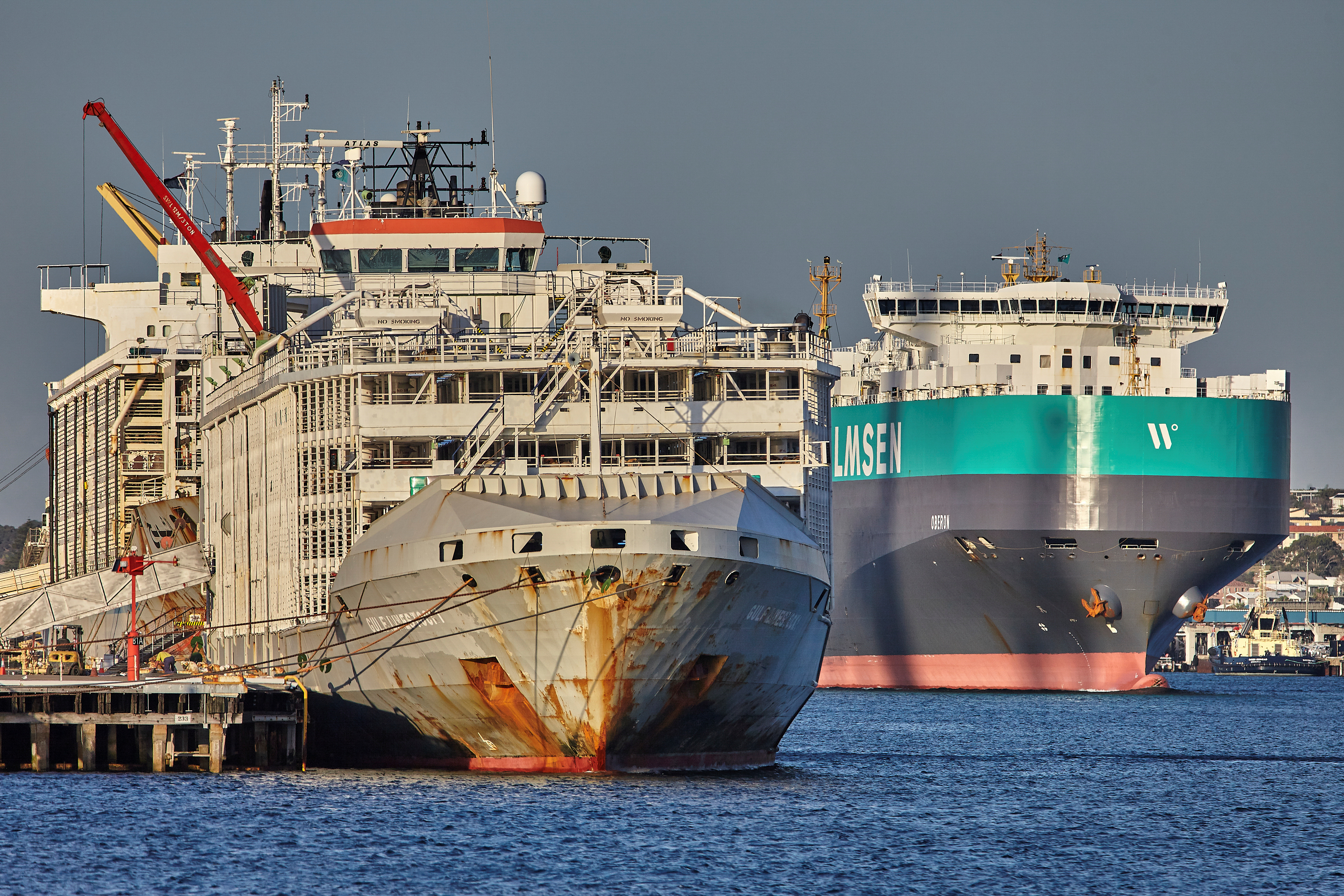 Un cargo néo-zélandais et son équipage portés disparus au large du Japon